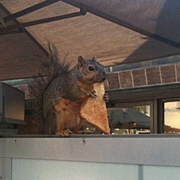 Sloth (USA-2) : The Breakfast Song!